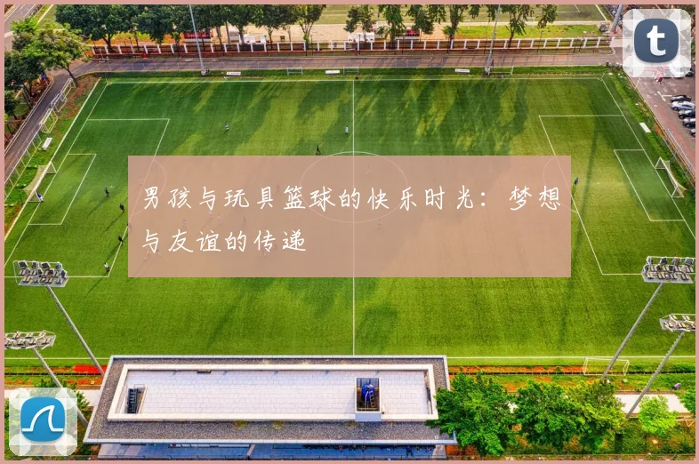 男孩与玩具篮球的快乐时光：梦想与友谊的传递