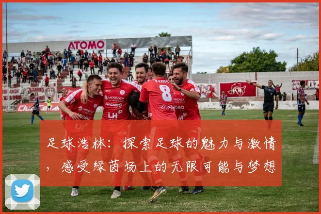 足球浩林：探索足球的魅力与激情，感受绿茵场上的无限可能与梦想