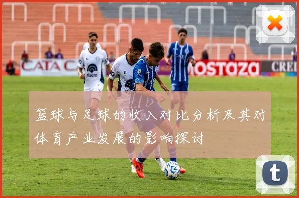 篮球与足球的收入对比分析及其对体育产业发展的影响探讨