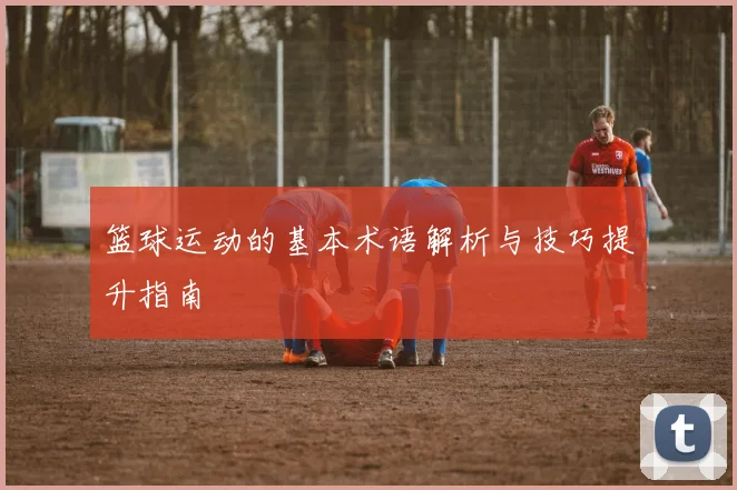 篮球运动的基本术语解析与技巧提升指南
