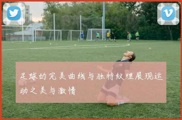足球的完美曲线与独特纹理展现运动之美与激情