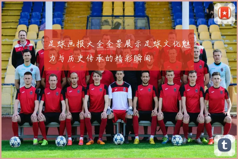 足球画报大全全景展示足球文化魅力与历史传承的精彩瞬间