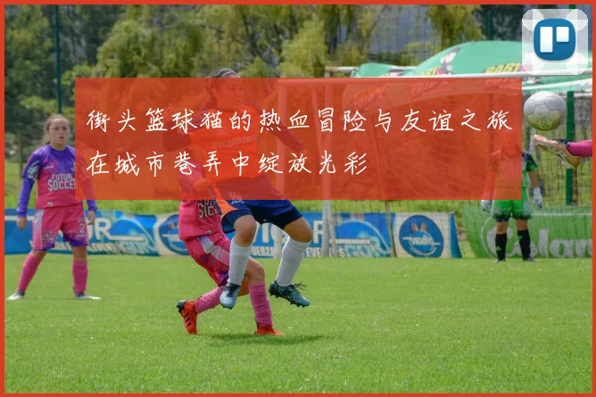 街头篮球猫的热血冒险与友谊之旅在城市巷弄中绽放光彩